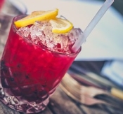 Ontmoet leuke Lexa singles tijdens cocktail en mocktail workshop